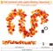 10Ft 50 LED Fall Garland with Lights - Battery Operated (Orange)